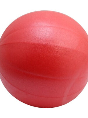 New 25cm Yoga Ball Exercise Gymnastic