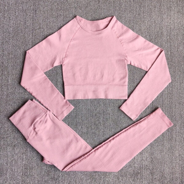 Women  Seamless Workout Yoga Suit