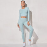 Women  Seamless Workout Yoga Suit