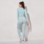 Women  Seamless Workout Yoga Suit