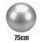 Explosion-Proof  Yoga Ball